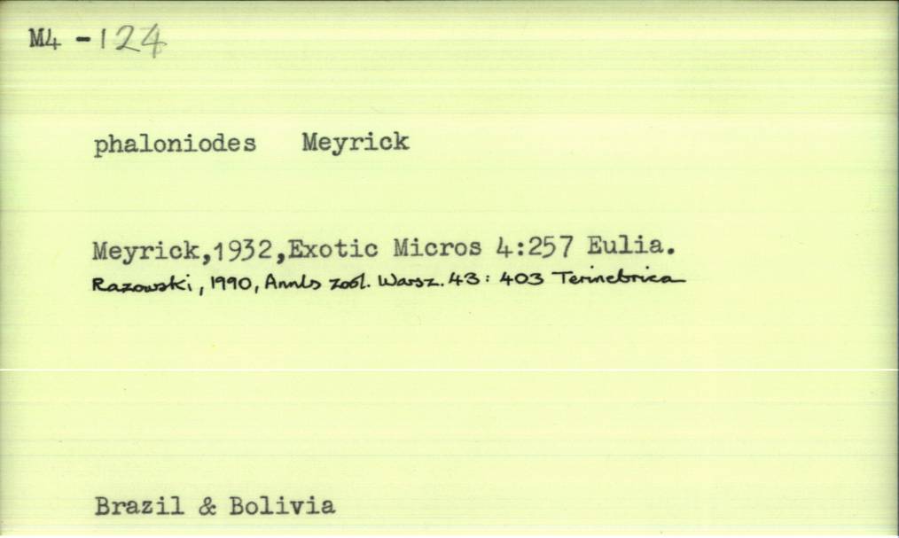 front of card